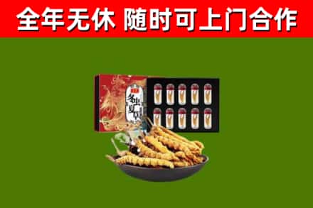 福州市回收冬虫夏草价格