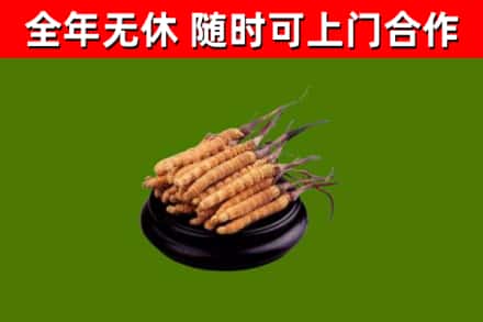 福州市烟酒回收冬虫夏草.jpg